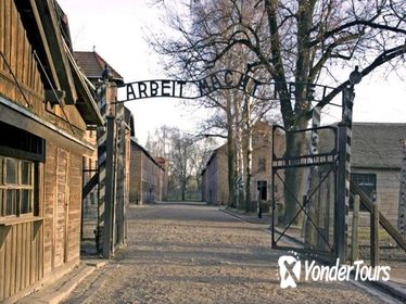 Full-Day Tour of Auschwitz and Wieliczka Salt Mine from Krakow