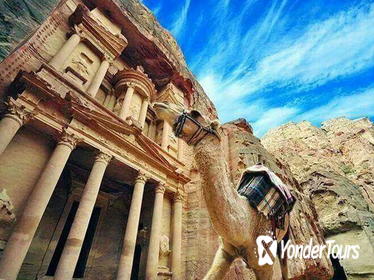 Full-Day Tour to Petra from Amman with Optional Guide