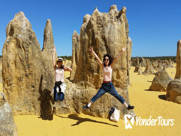 Full-Day Tour to Pinnacles Desert and Yanchep National Park from Perth