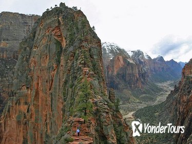 Full-Day Tour to Zion National Park from Las Vegas