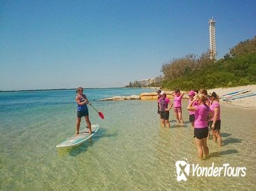 Golden Beach 1-Hour Stand-Up Paddleboard Hire on the Sunshine Coast