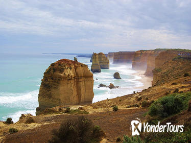 Great Ocean Road Small-Group Ecotour from Melbourne