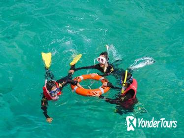 Green Island Day Trip from Cairns Including Snorkel Tour Experience