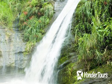 Grenada Island Tour: Concord Waterfall, Gouyave Nutmeg Station and Grand Etang Lake