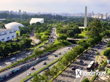 Guided Art and Cultural Walking Tour of Ibirapuera Park