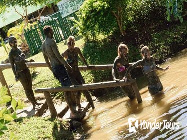 Half Day Nadi Therapeutic Mud Pools and Garden Tour