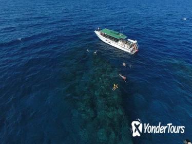 Half Day Snorkel Adventure and Dolphin Search (Dec through May Whale Watching)