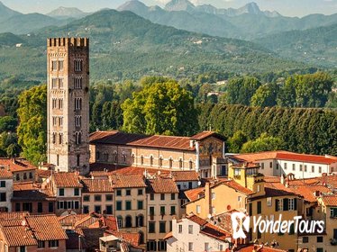 Half Day Tour from Florence to Lucca