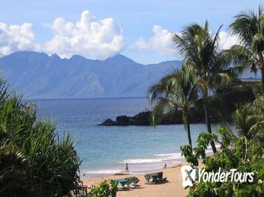 Half-Day Guided Private Tour of Maui Island with Hotel Pickup