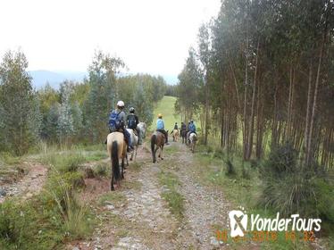 Half-Day Horseback Riding Tour from Cusco