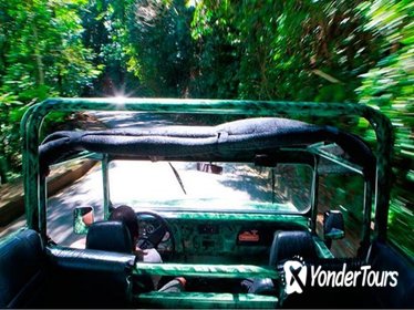 Half-Day Jeep Tour of Tijuca Forest