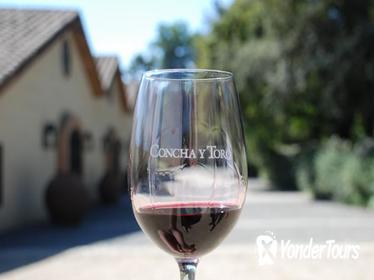 Half-Day Private Tour: Concha y Toro Vineyard from Santiago with Transportation