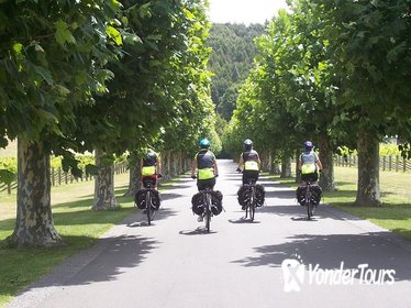Half-Day Self-Guided Hawkes Bay Coastline and Wineries Cycling Tour