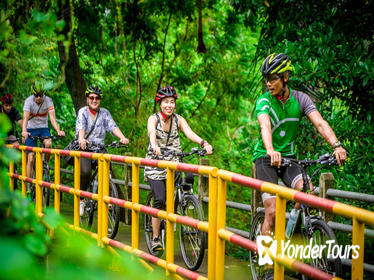Half-Day Small-Group Bang Krachao Bike Tour from Bangkok