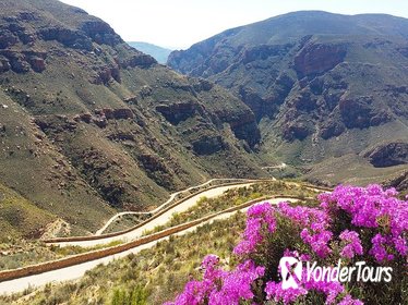 Half-Day Swartberg Pass Tour from Oudtshoorn