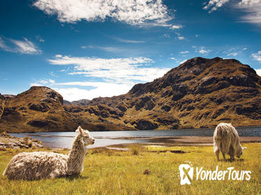 Hiking Tour through Cloud Forest and Cajas National Park from Cuenca, Ecuador