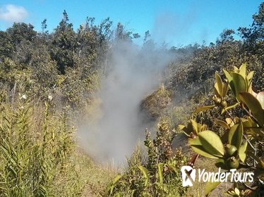 Hilo Hot Steam Volcano Tour: Waterfalls - Big Island Candies - Black Sand