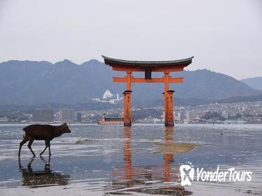 Hiroshima one day private walking Tour
