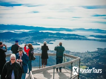 Hobart Highlights: Bonorong Wildlife Sanctuary and Mt Wellington