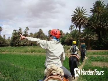 Horse Riding in Southern Morocco