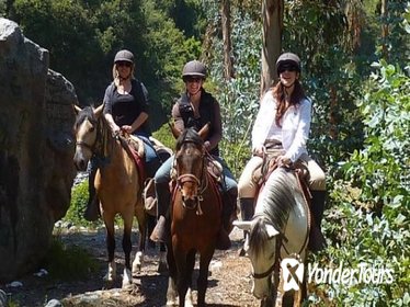 Horseback Riding Tour to Sacsayhuaman, Quenqo, Puka Pucara and Tambomachay