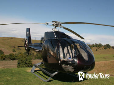 Hunter Valley Luncheon Tour by Helicopter