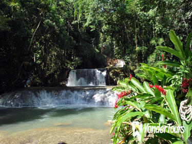 Jamaican South Coast Private Sightseeing Tour