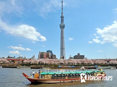 Japanese Style Lunch Cruise by Yakatabune by TOKYO SKYTREE