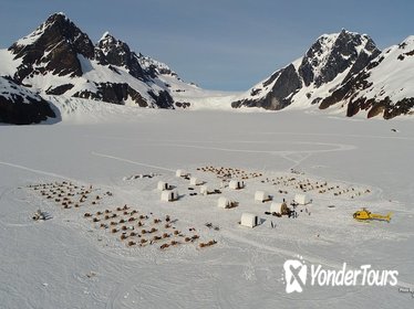 Juneau Helicopter Tour and Dogsledding Experience