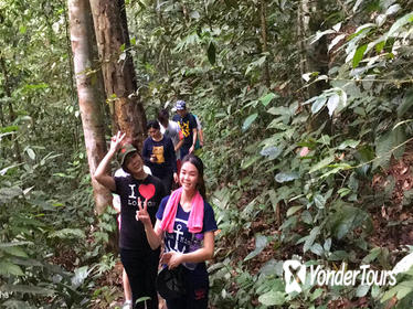 Jungle Trek to a Waterfall With Jungle Guide at The Dusun From Kuala Lumpur