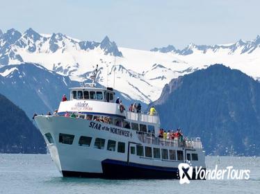 Kenai Fjords Wildlife Cruise with Optional Buffet Lunch