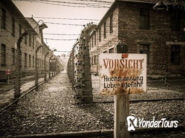 Krakow and Auschwitz 1 Day Tour from Lodz