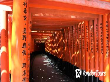 Kyoto Cultural Forest, Shrine and Temple Tour with Options
