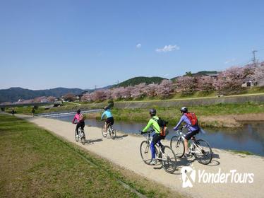 Kyoto Small-Group Bike Tour