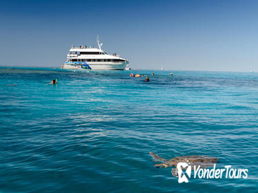 Lady Musgrave Day Trip from Bundaberg Including Snorkeling, Glass Bottom Tour and Guided Island Walk