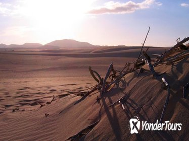 Lanzarote Volcanic Interior and Off-Road 4x4 Jeep Full-Day Tour