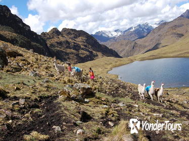 Lares Trek to Machu Picchu in 4 Days