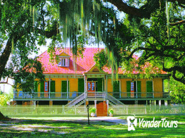 Laura Plantation Tour With Private Transportation