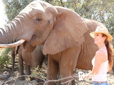 Lesedi Cultural Village Elephant Experience from Johannesburg