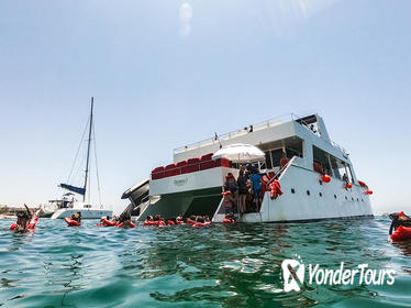 Los Cabos Reef Snorkeling Cruise