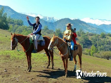 Maipo Canyon: Morning Horseback Ride and Afternoon Wine Tour & Tasting