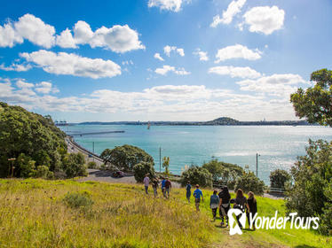 Maori Guided Walking Tour in Auckland