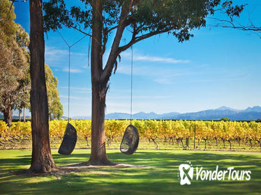 Marlborough Wine Tour and Cruise from Picton or Blenheim