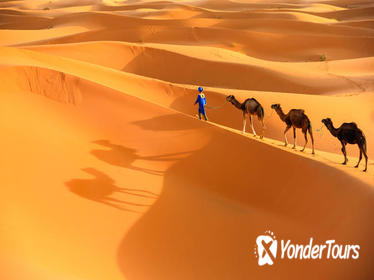 Marrakech to Merzouga small group shared Desert tour