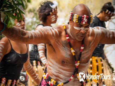 Meeanjin to Minjerribah: Stradbroke Island Indigenous Culture Cruise from Brisbane