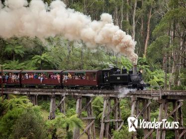 Melbourne Combo: Great Ocean Road plus Healesville Sanctuary and Puffing Billy and Melbourne Attraction Pass