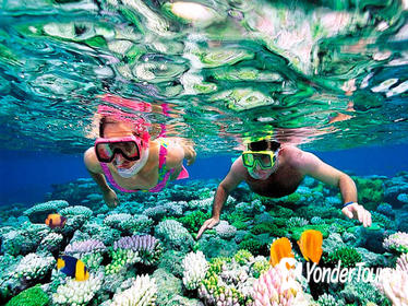Mesoamerican Barrier Reef Skip-the-Line Small-Group Snorkel