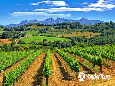 Montserrat and Penedès Small Group Tour with Hotel Pick Up from Barcelona
