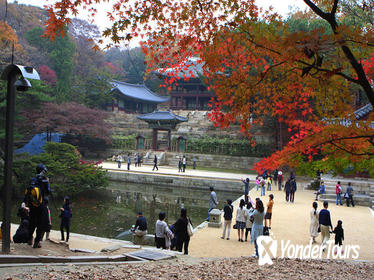 Morning Cultural Tour: UNESCO World Heritage Sites in Seoul