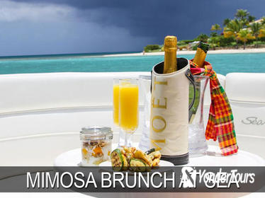 Morning Mimosa or Champagne Sunset Cruise